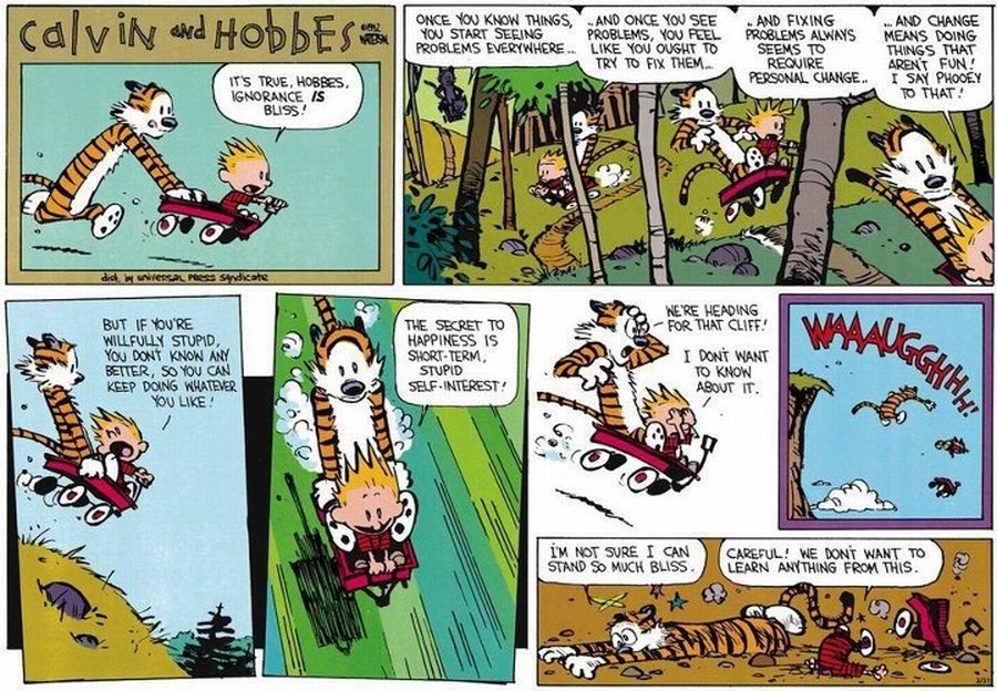 What is a lead - Business loss - Calvin and Hobbes